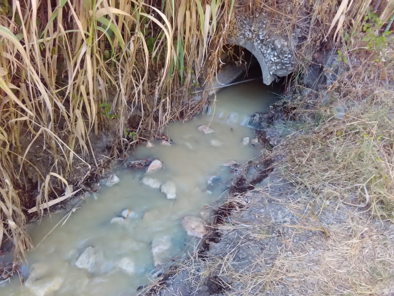 Resultado de imagem para ribeira boa agua